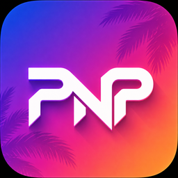 PayNPlay logo